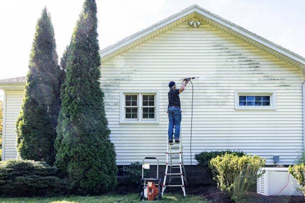Best Spring Cleaning  in Pana, IL