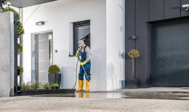 Best Fence Cleaning  in Pana, IL